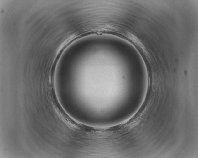 X0000061731234200512091537