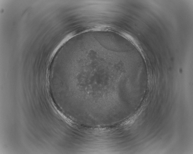 X0000061731235200512091537