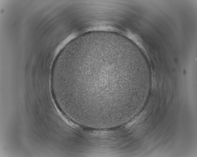 X0000061731237200512091537