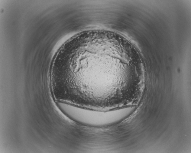 X0000061731239200512091537