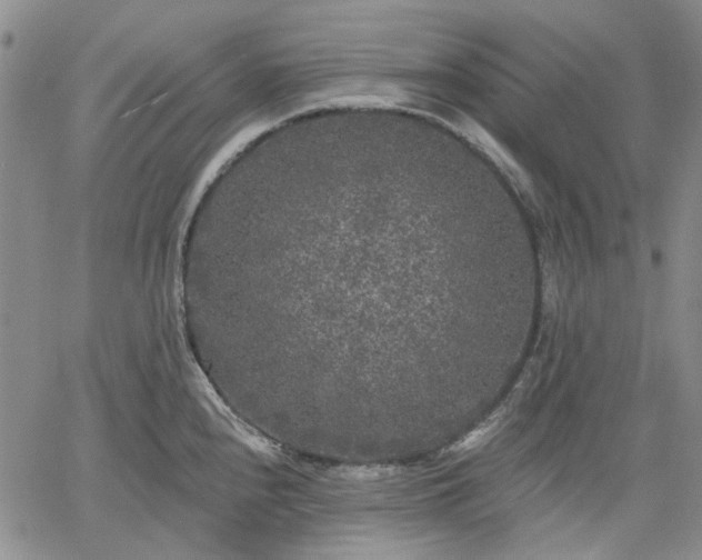 X0000061731240200512091537