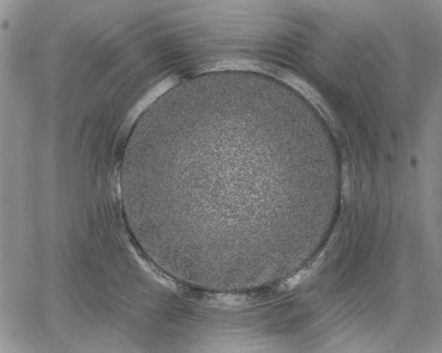 X0000061731241200512091537