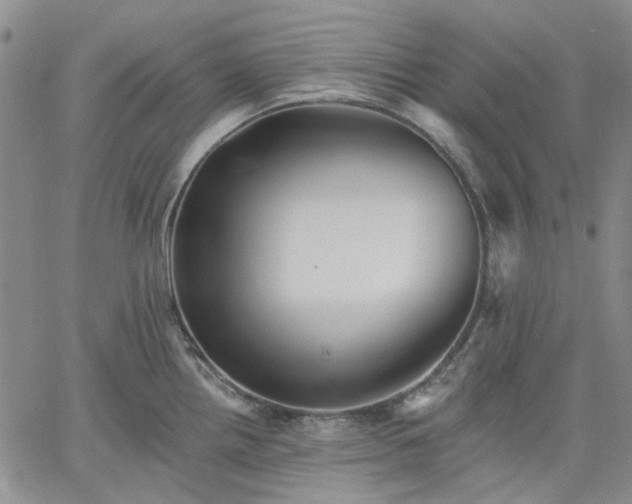 X0000061731242200512091537