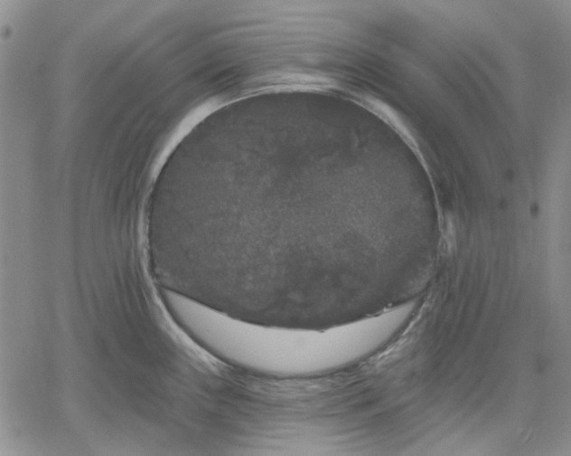 X0000061731243200512091537