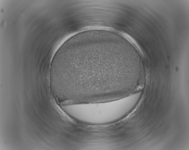 X0000061731244200512091537