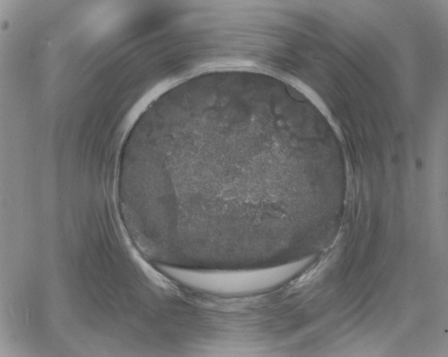 X0000061731245200512091537