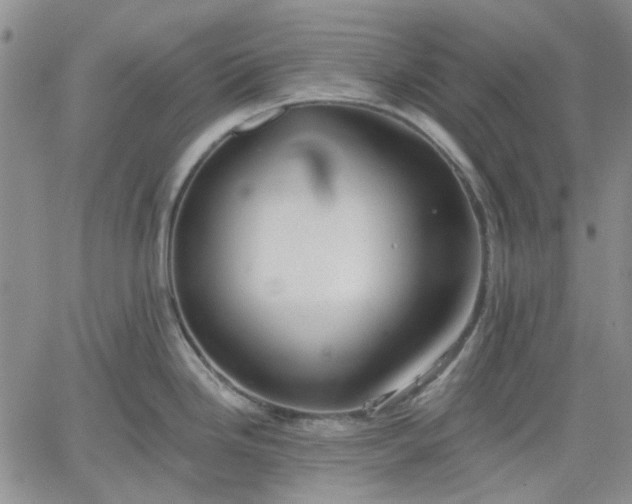 X0000061731246200512091537