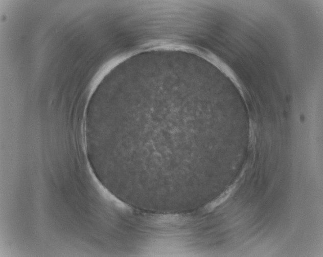 X0000061731247200512091537