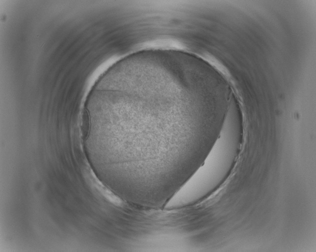 X0000061731248200512091537