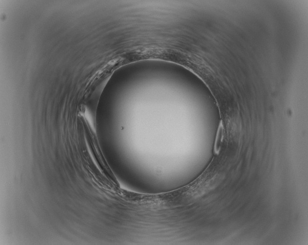 X0000061731250200512091536