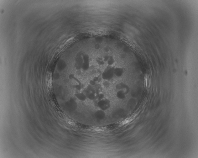 X0000061731251200512091536