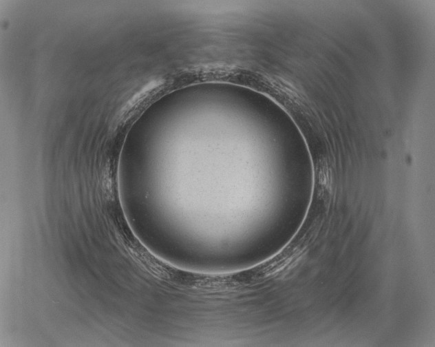 X0000061731252200512091536