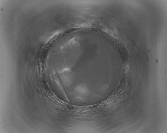 X0000061731254200512091536