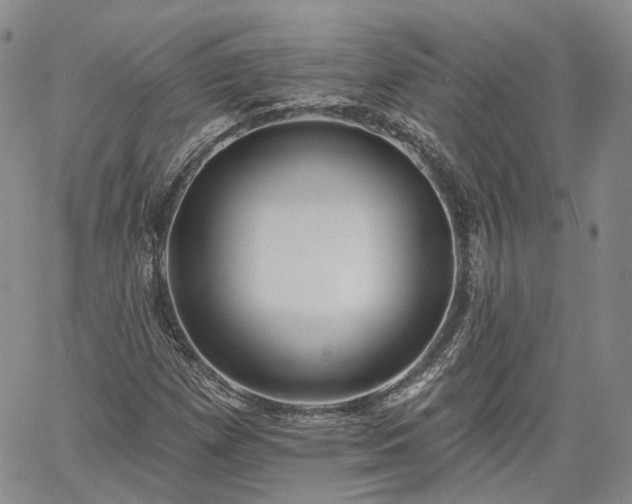 X0000061731257200512091536