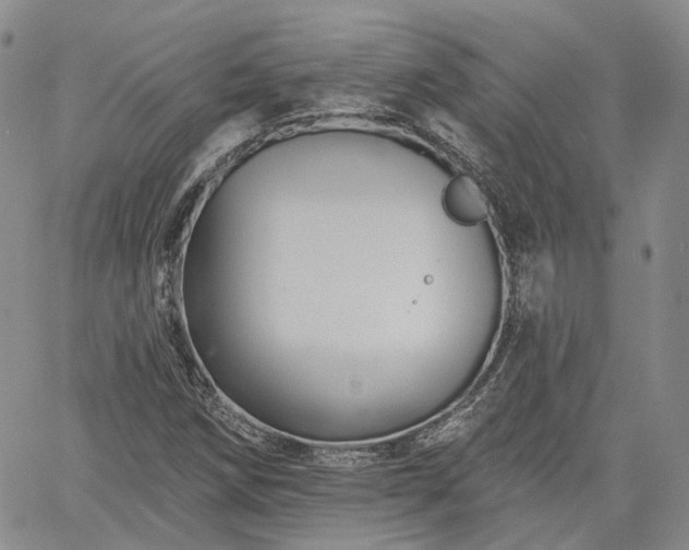 X0000061731258200512091536