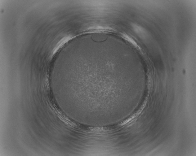 X0000061731259200512091536