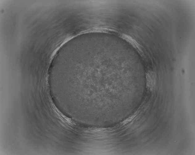 X0000061731260200512091536