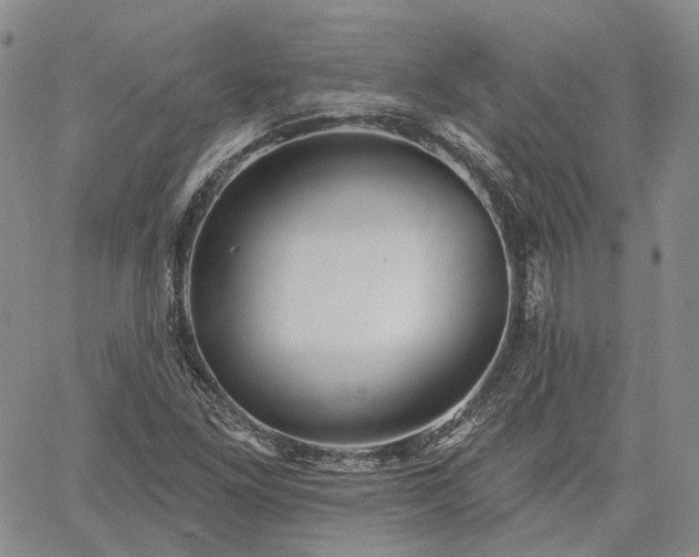 X0000061731261200512091536