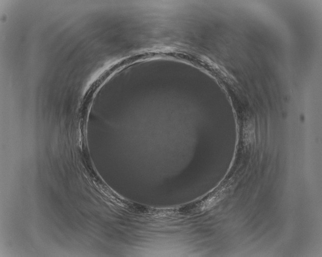 X0000061731262200512091536