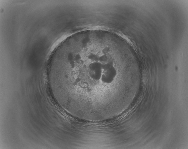 X0000061731263200512091536