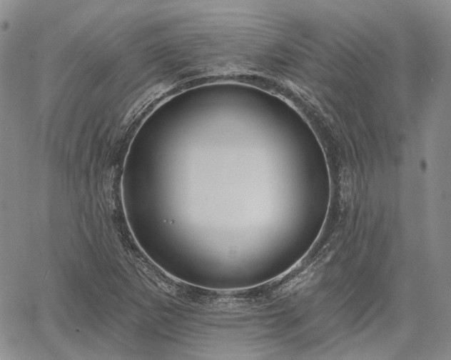 X0000061731265200512091536