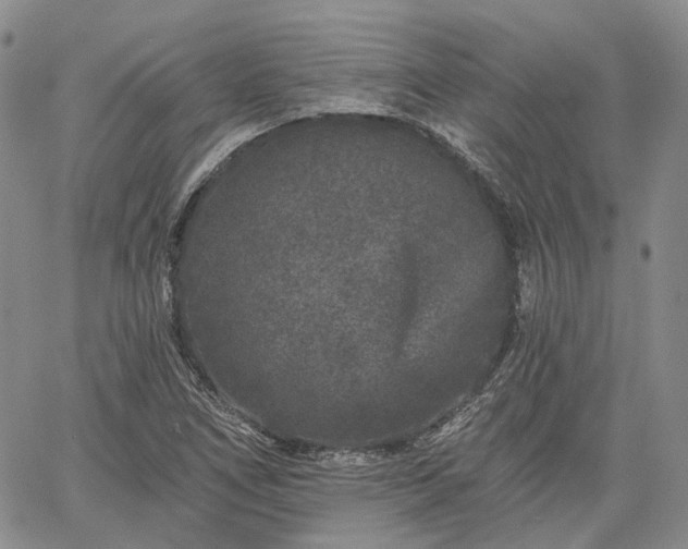 X0000061731266200512091536