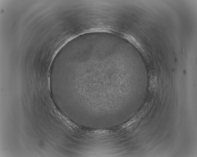 X0000061731268200512091536