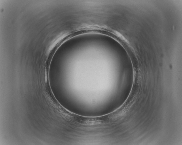 X0000061731269200512091536