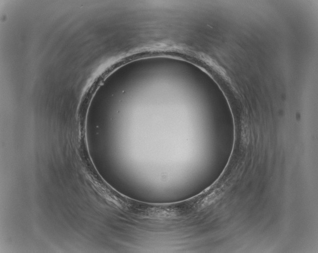 X0000061731270200512091536