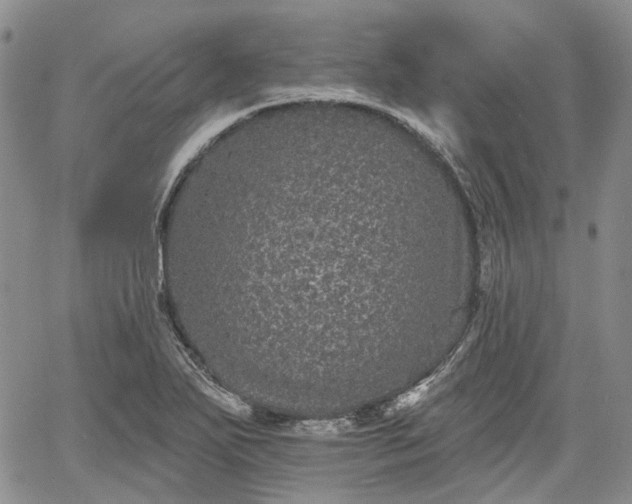 X0000061731271200512091536