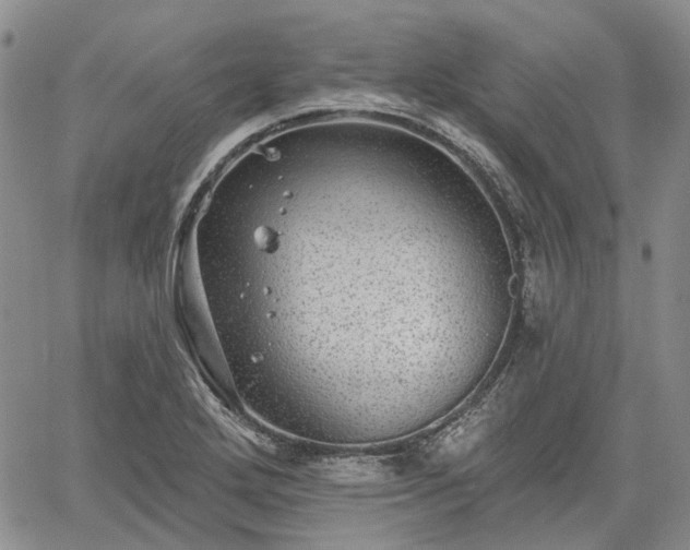 X0000061731272200512091536