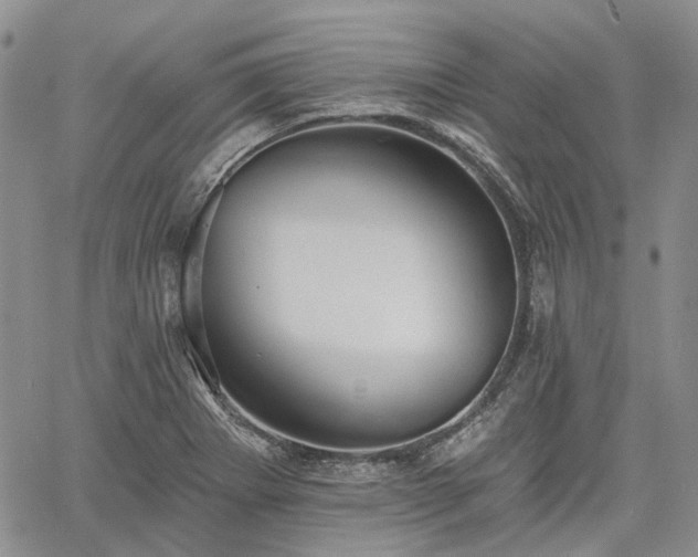 X0000061731273200512091536