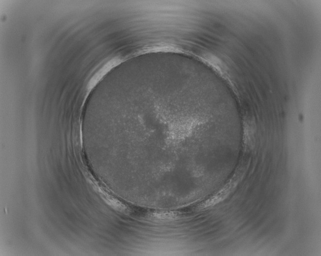 X0000061731274200512091536