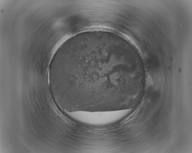 X0000061731275200512091536