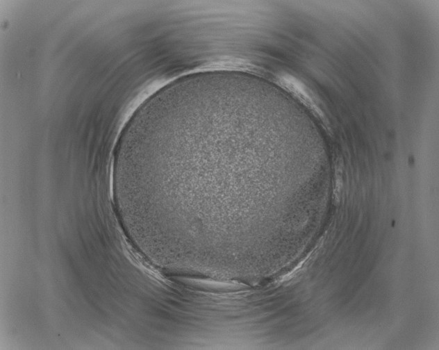 X0000061731276200512091536