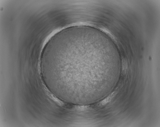 X0000061731278200512091536