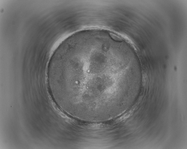 X0000061731279200512091536