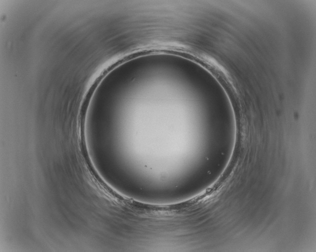 X0000061731280200512091536