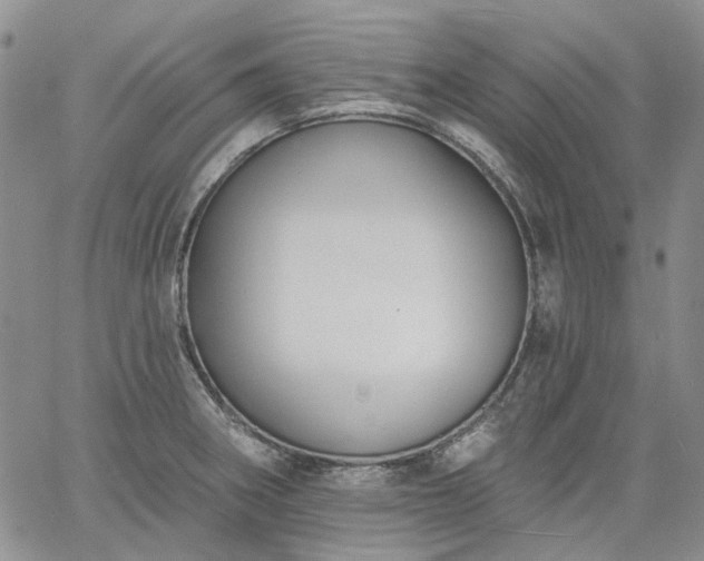 X0000061731282200512091536