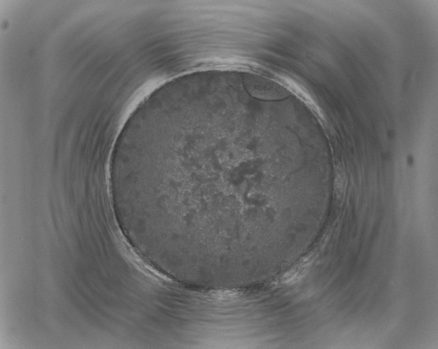 X0000061731283200512091536