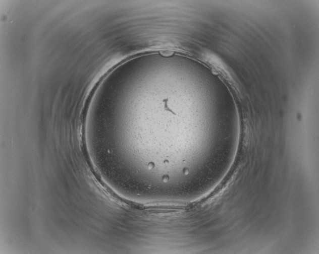 X0000061731284200512091536