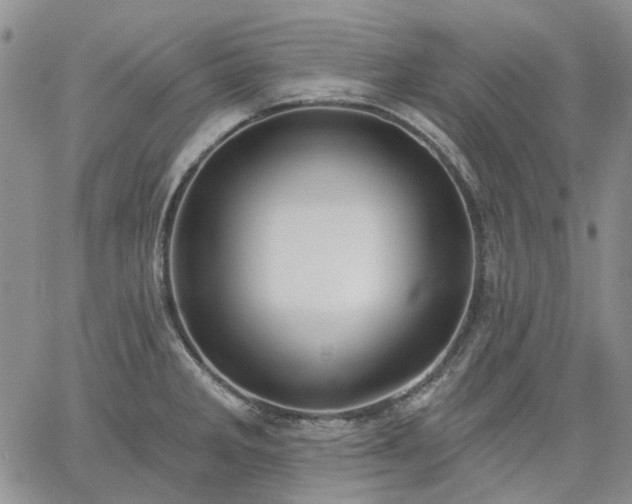 X0000061731285200512091536