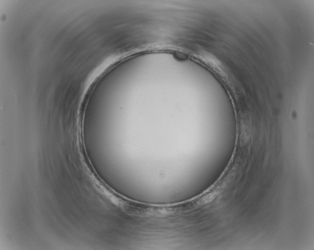 X0000061731286200512091536