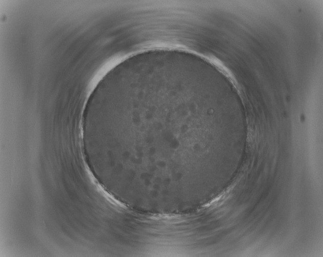 X0000061731287200512091536