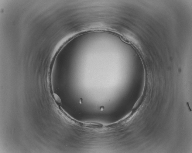 X0000061731288200512091536