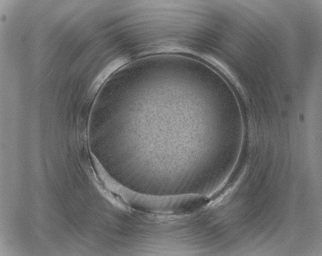 X0000061731289200512091536