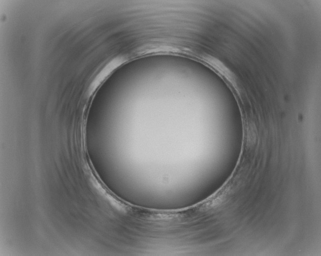 X0000061731290200512091535