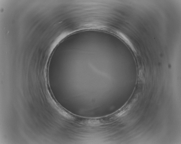 X0000061731291200512091535