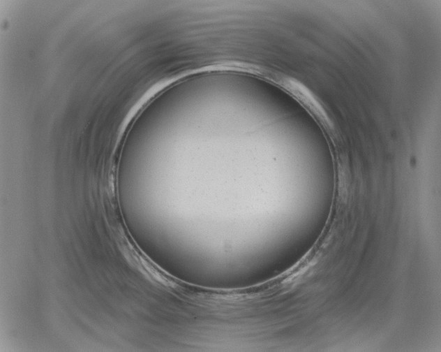 X0000061731292200512091535