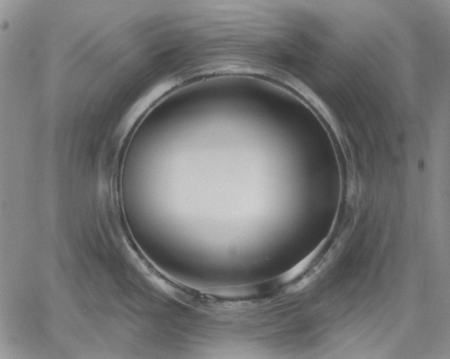 X0000061731293200512091535